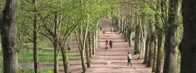 Hampstead-Heath