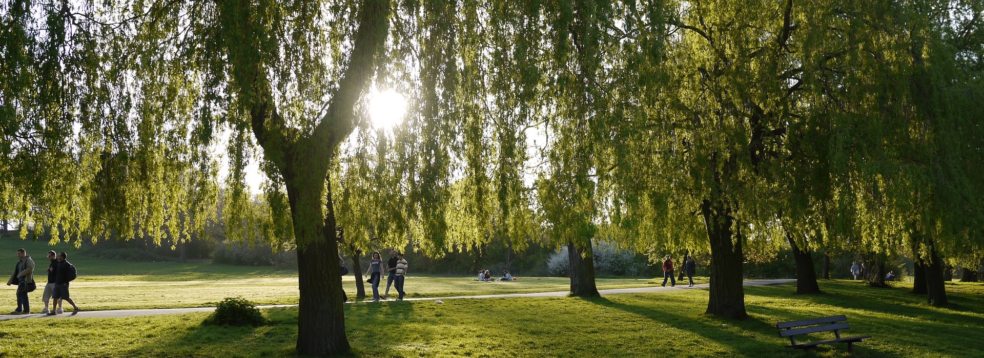 Conscious Walking on Hampstead Heath